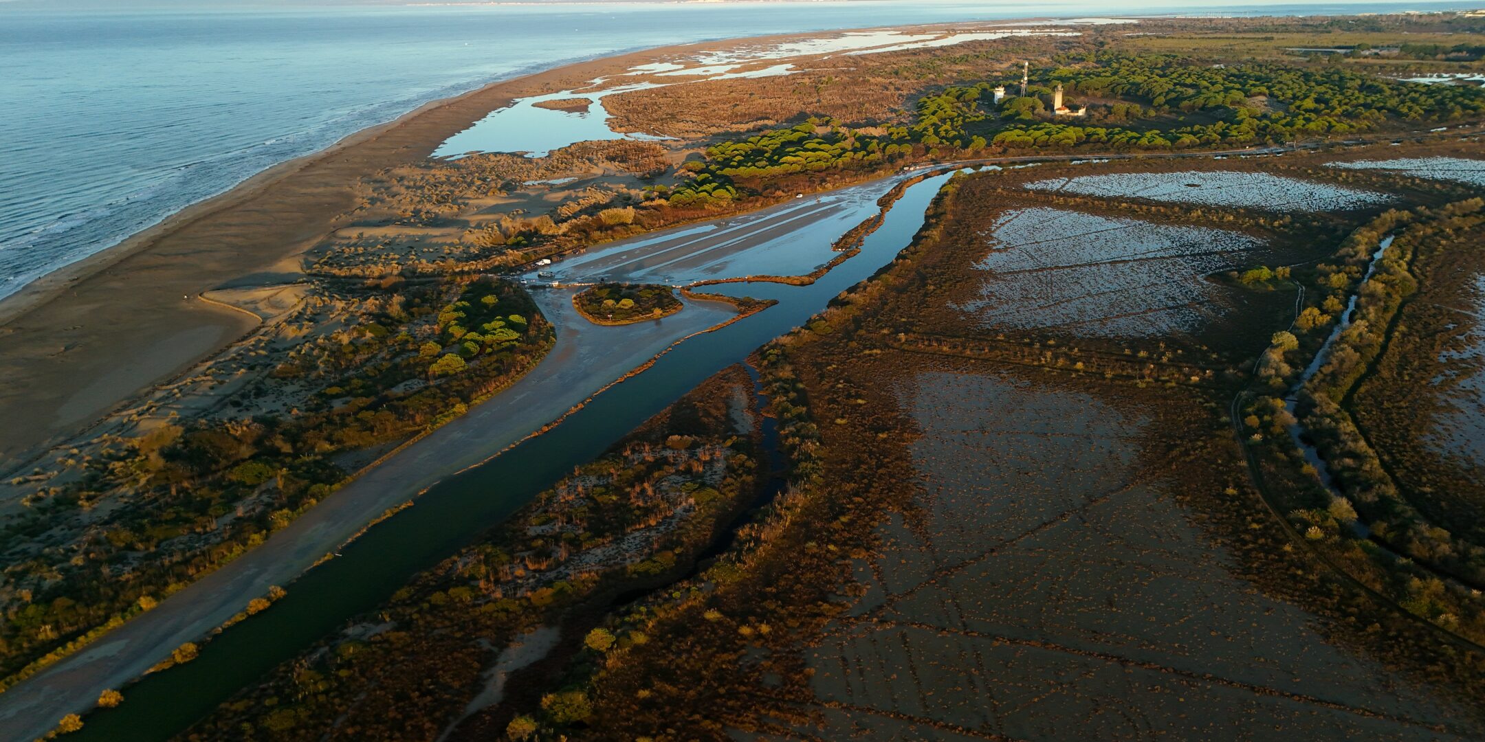 Lire la suite à propos de l’article La Plage et le Phare de l’Espiguette