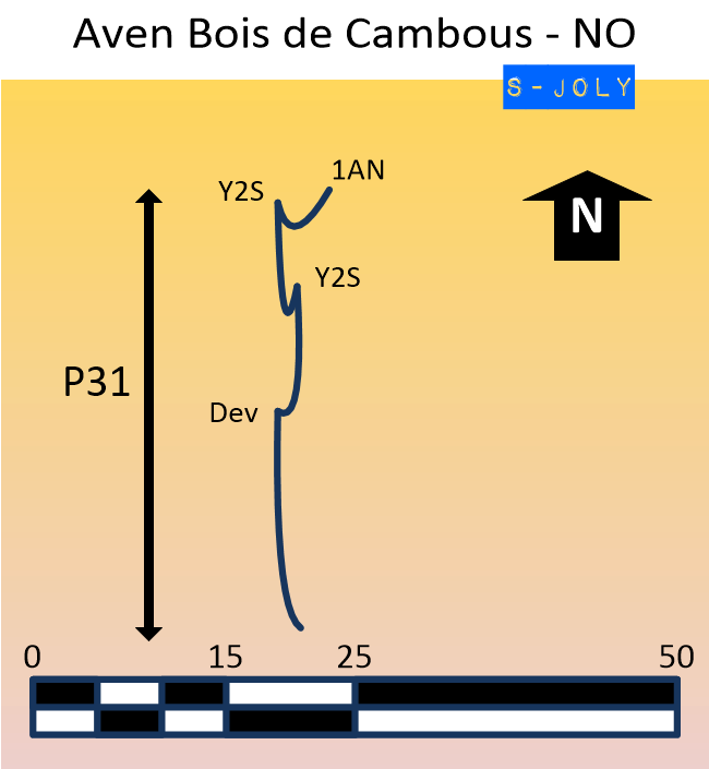 Aven Bois de Cambous